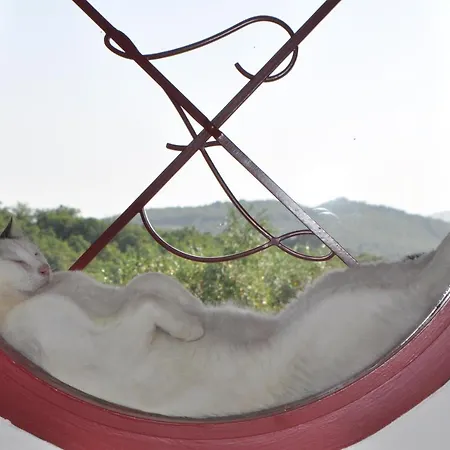 Apartman Bosco Roccalbegna