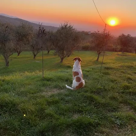 Bosco Lejlighed
