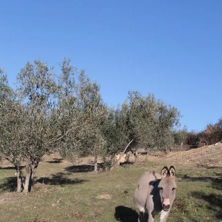 Bosco Lejlighed Roccalbegna
