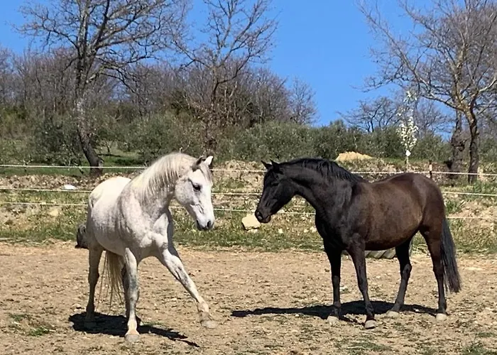 Διαμέρισμα Bosco
