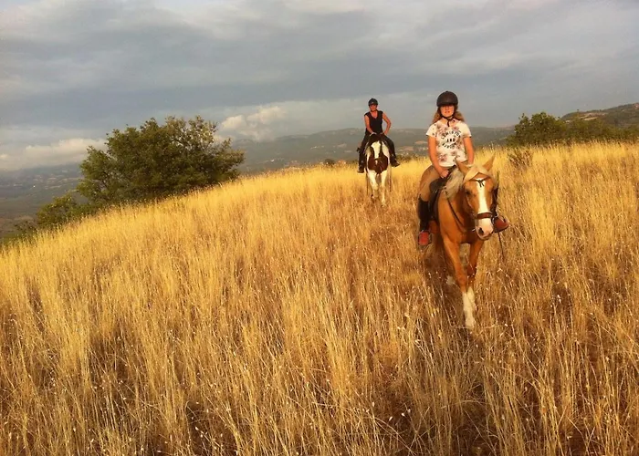 Bosco روكّالبينيا