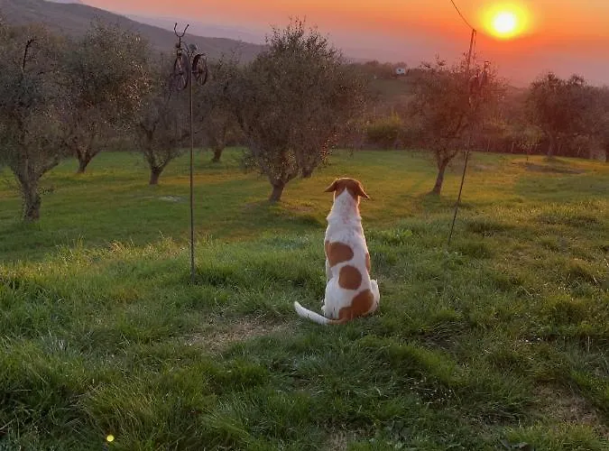 Bosco Διαμέρισμα