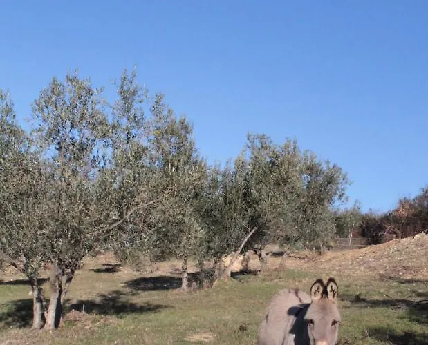 Bosco Apartman Roccalbegna