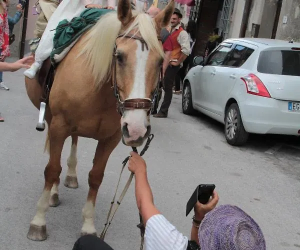 Bosco Apartman Roccalbegna