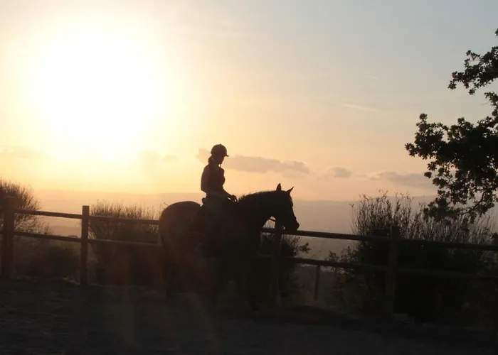 Bosco Apartman Roccalbegna