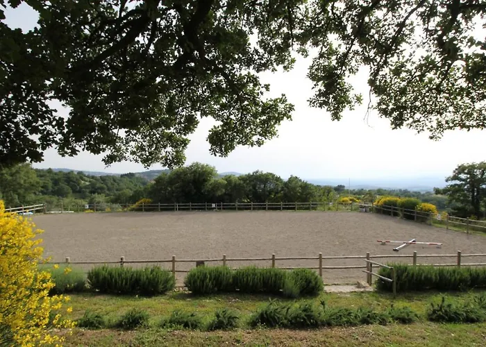 Bosco روكّالبينيا