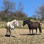 דירה Bosco